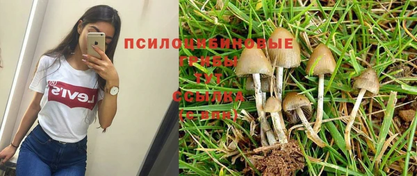 соль ск Красноперекопск