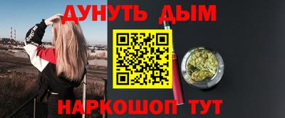крисы Можга