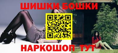 крисы Можга
