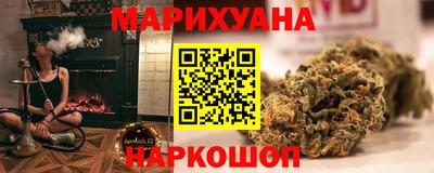 крисы Можга