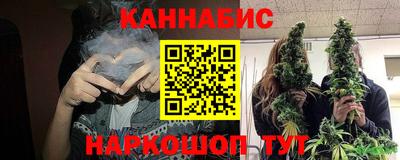 крисы Можга
