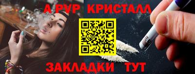 крисы Можга
