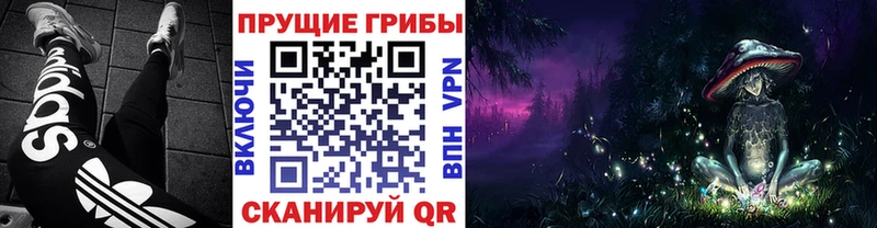 Псилоцибиновые грибы ЛСД Славянск-на-Кубани
