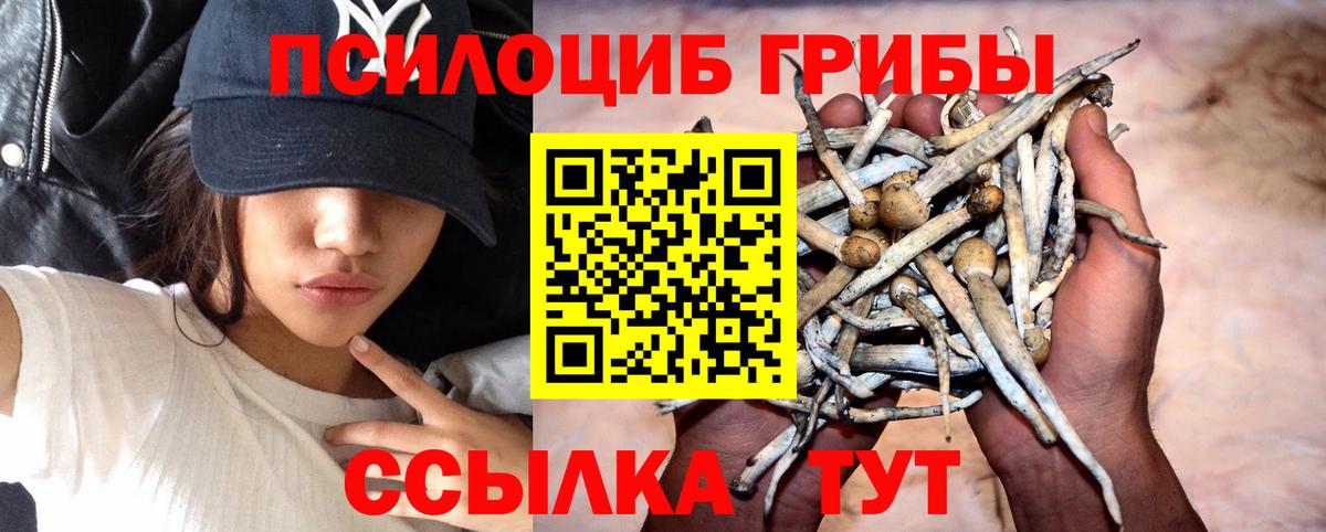 Псилоцибиновые грибы мухоморы Славянск-на-Кубани